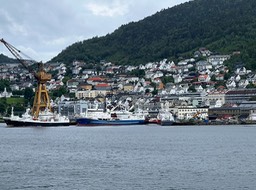 IMG_6237