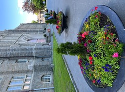 IMG_6250