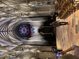 IMG_6265
