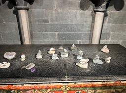 IMG_6274