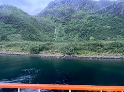 IMG_6350