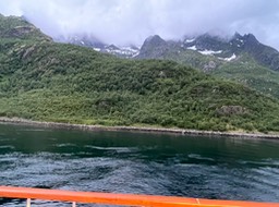 IMG_6351