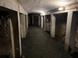 IMG_6411