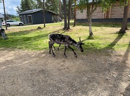 IMG_6426