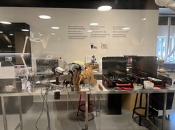 IMG_6513