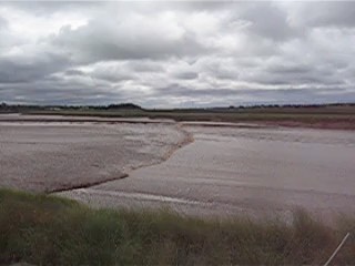 mvi_3184