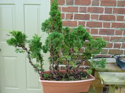 P1000190