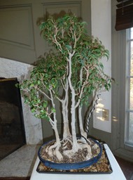 P1010407_2
