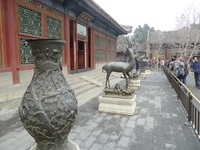 P1010755