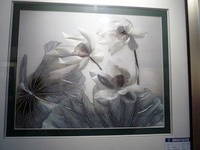 P1010972