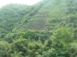 P1020777