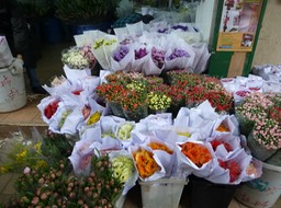P1020882