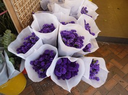 P1020887
