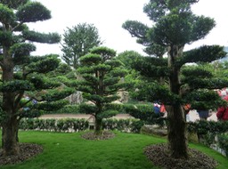 P1020916