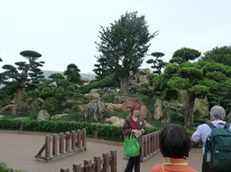 P1020917