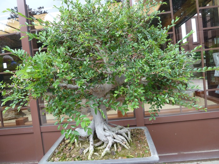 P1020947