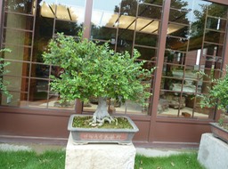 P1020948