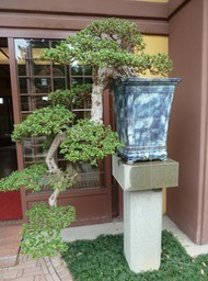P1020950