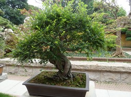 P1020951