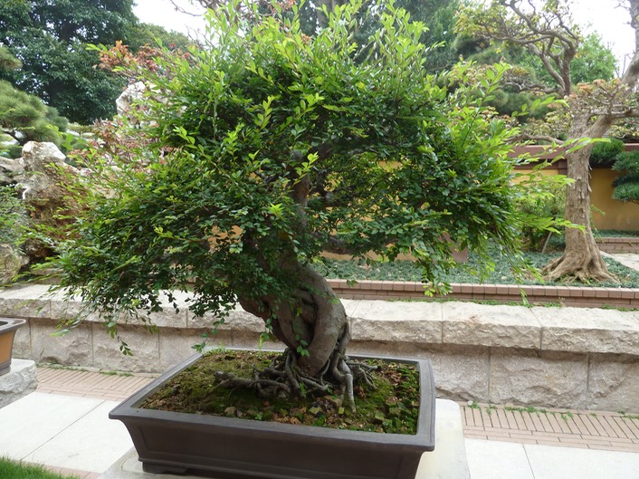 P1020951