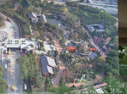 P1020960