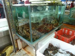 P1020962