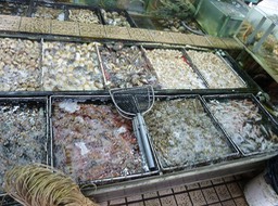 P1020974