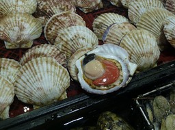 P1020979
