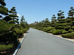 P1030166