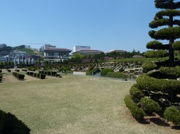 P1030168