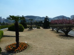 P1030174