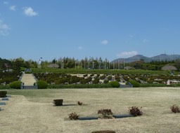 P1030179
