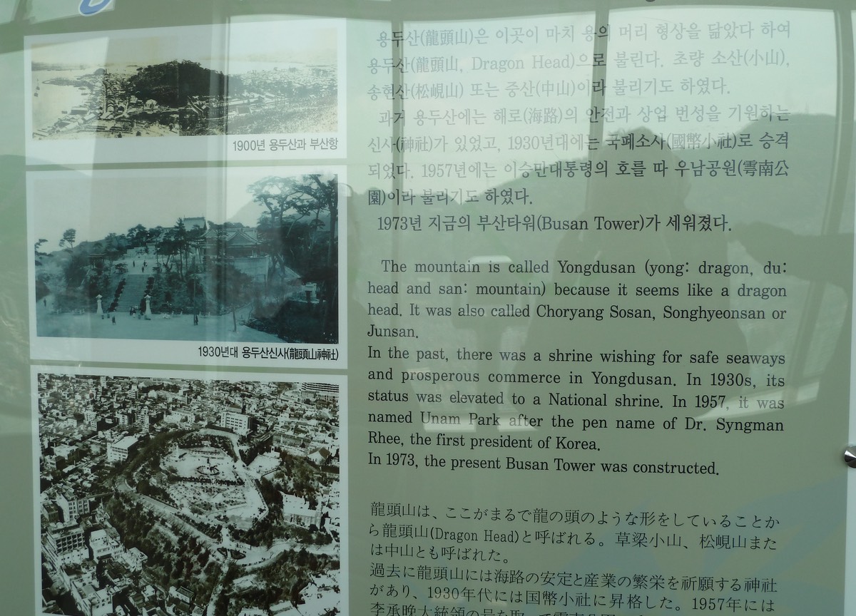 P1030251