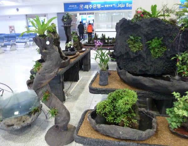 P1030277