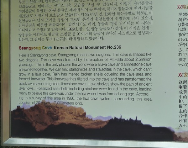 P1030298