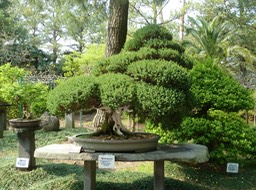 P1030305