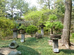 P1030306