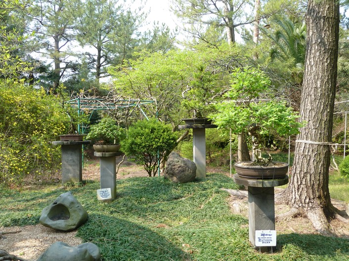 P1030306