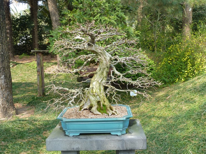 P1030309