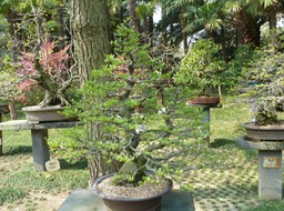 P1030311