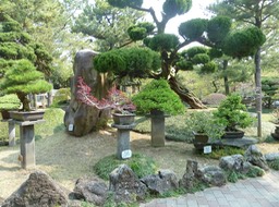 P1030314