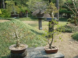 P1030316