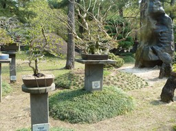 P1030317