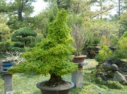 P1030320