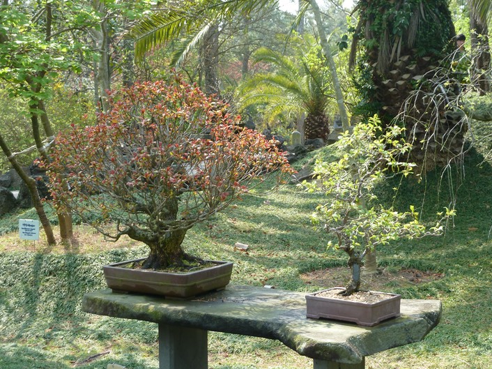 P1030321