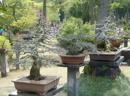 P1030326
