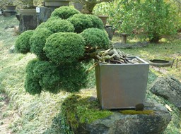P1030327