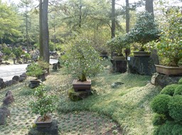 P1030328