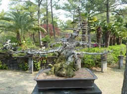 P1030329