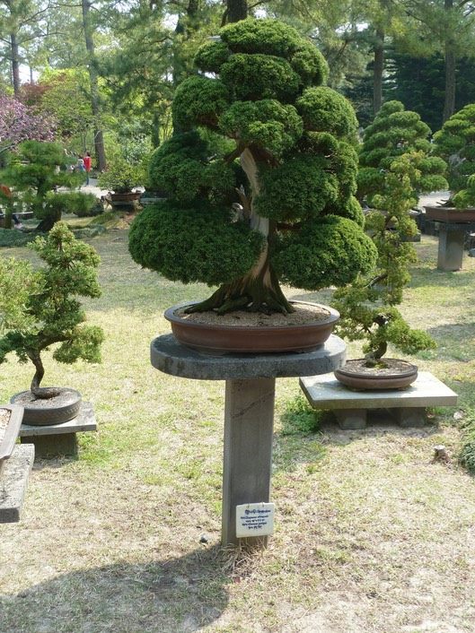 P1030333